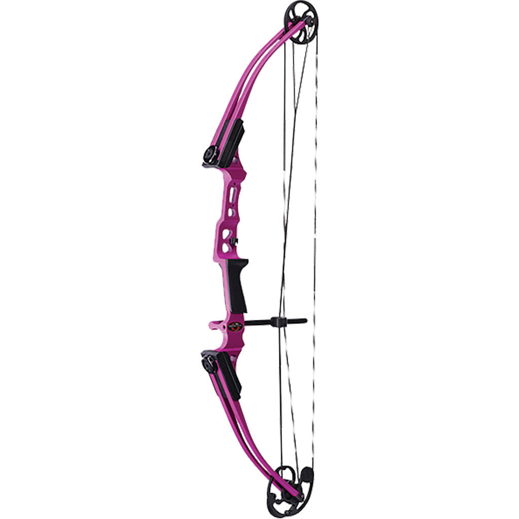 Genesis Mini Compound Bow Purple Right Hand