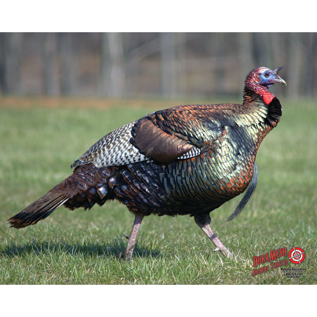 DuraMesh Archery Turkey Target 25 in. x 32 in.