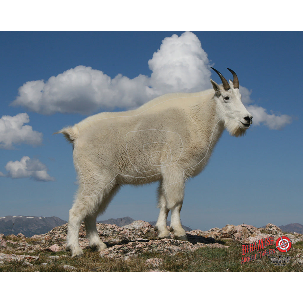 DuraMesh Archery Mountain Goat Target 25 in. x 32 in.
