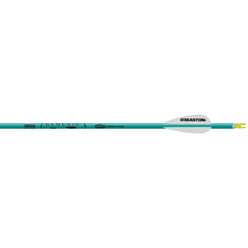 Easton Genesis Teal 1820 Aluminum Target Arrows 6-Pack NASP