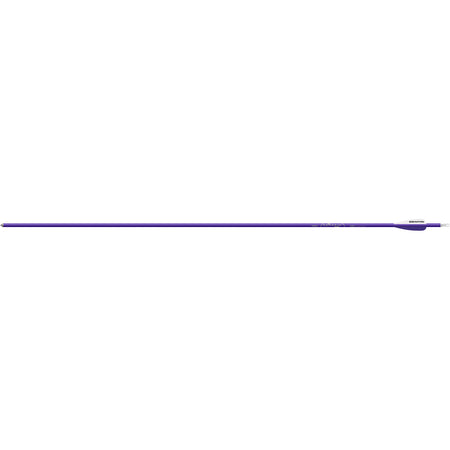 Easton Genesis Arrows 3 in. Vane Purple 36-Pack