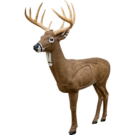 Rinehart Big Jim Whitetail 3D Archery Target