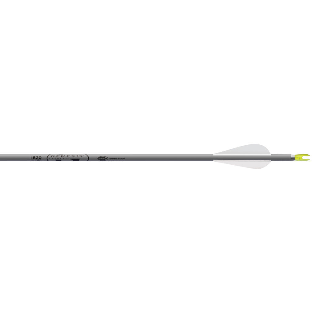 Easton Genesis NASP Arrows 3 in. Vanes Silver 6-Pack