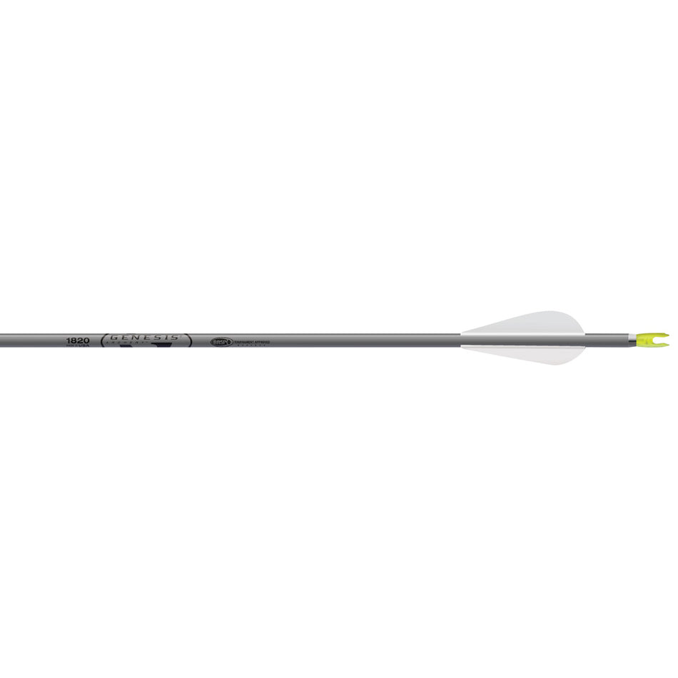 Easton Genesis NASP Arrows 3 in. Vanes Silver 36-Pack