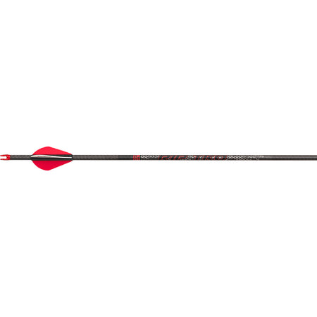 Victory RIP TKO Sport Low Torque Carbon Arrows 200 Spine 2 in. Vanes 6-Pack