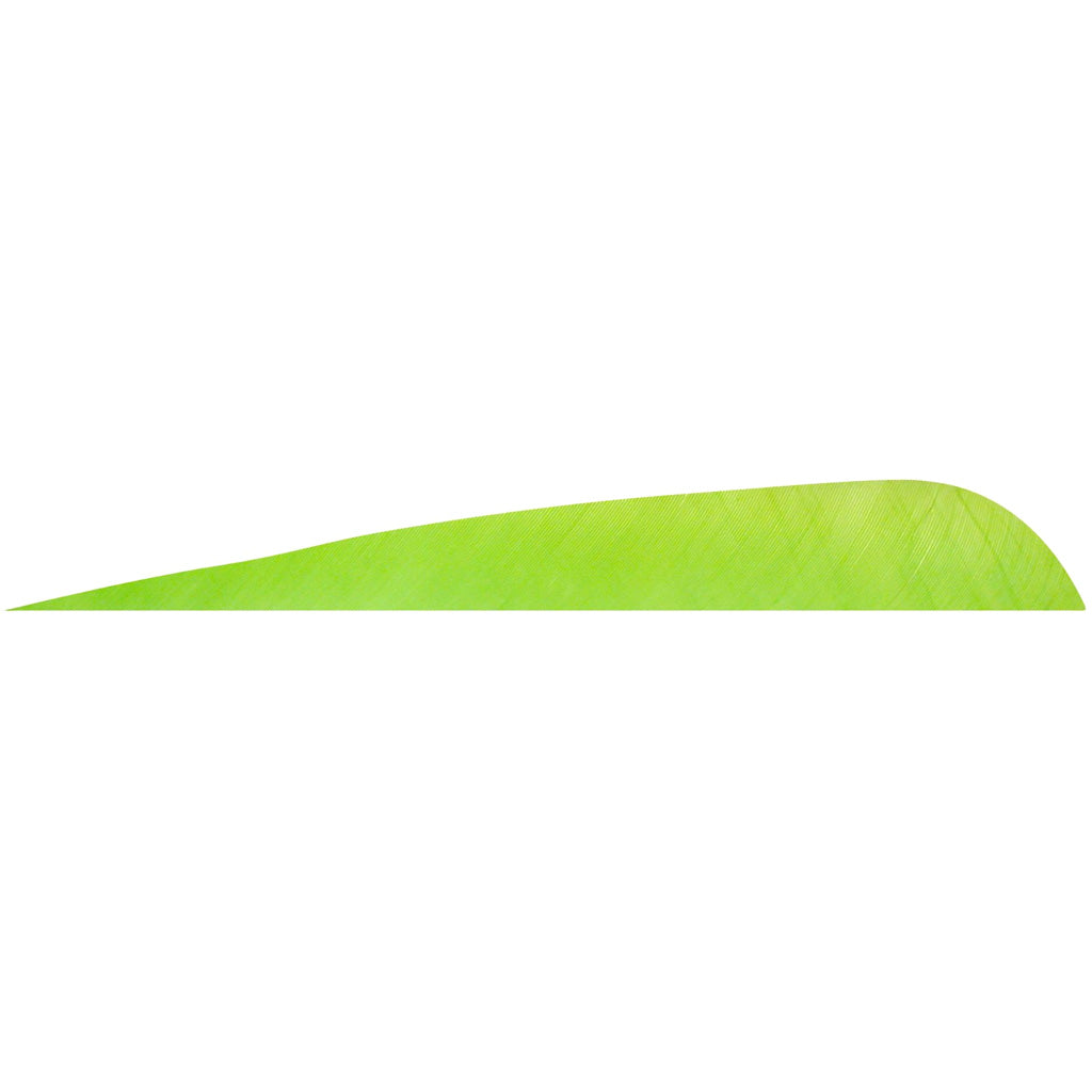 Gateway Parabolic Feathers Chartreuse 4 in. Right Wing 12-Pack