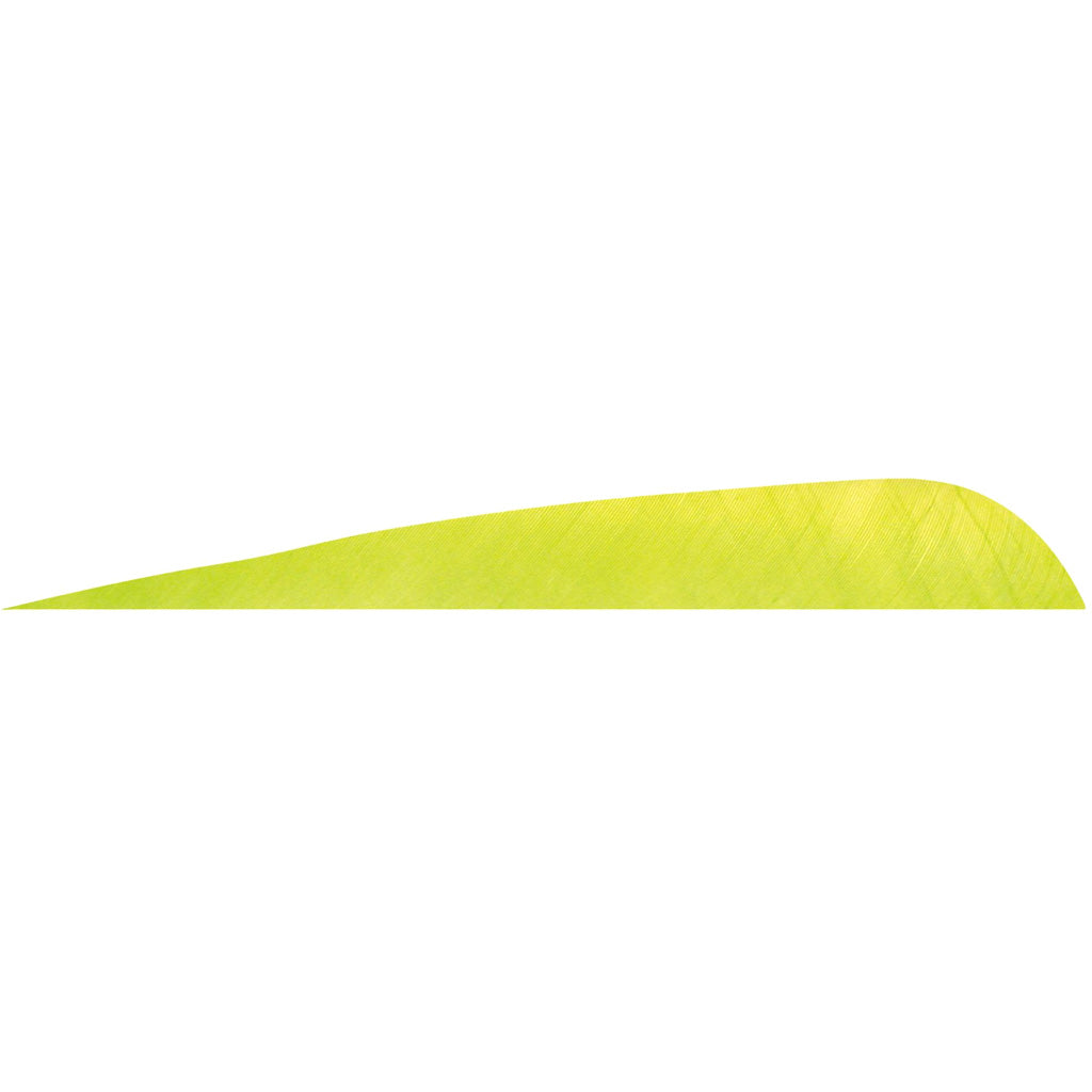 Gateway Parabolic Feathers Lime 5 in. Right Wing 12-Pack