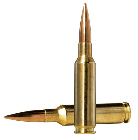 Norma 10166312 Dedicated Precision Golden Target Match Hollow Point Boat Tail HPBT 130 Grain 6.5mm Creedmoor