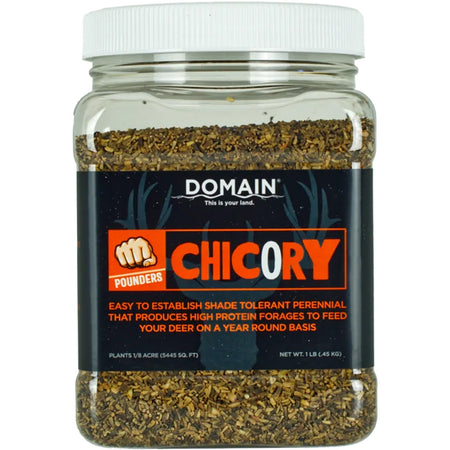 Domain Chicory Pounder Seed – 1/8 Acre Coverage