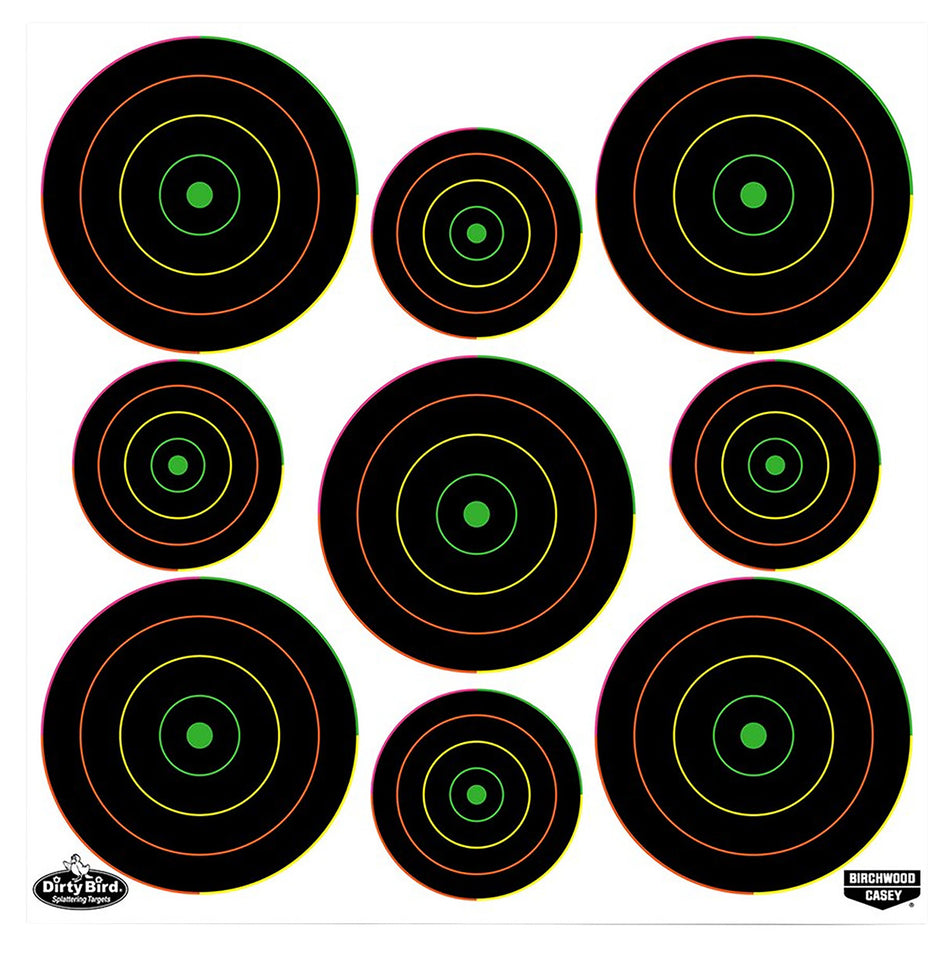 Birchwood Casey 35828 Dirty Bird Bullseye Tagboard Hanging Target Pistol/Rifle Black/Green Multi-Color Rings 20 Per Pkg