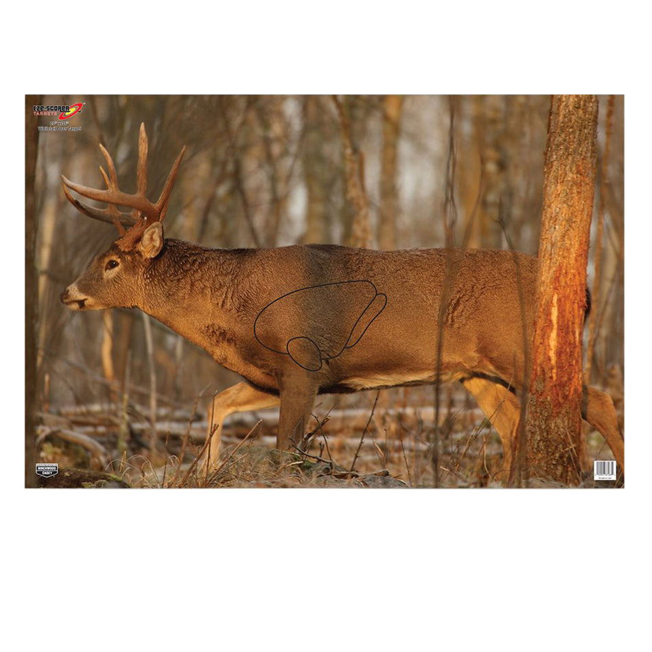 Birchwood Casey 37481 EZE-Scorer Whitetail Deer Paper Hanging Target 23"x35" Multi-Color 2 Per Package