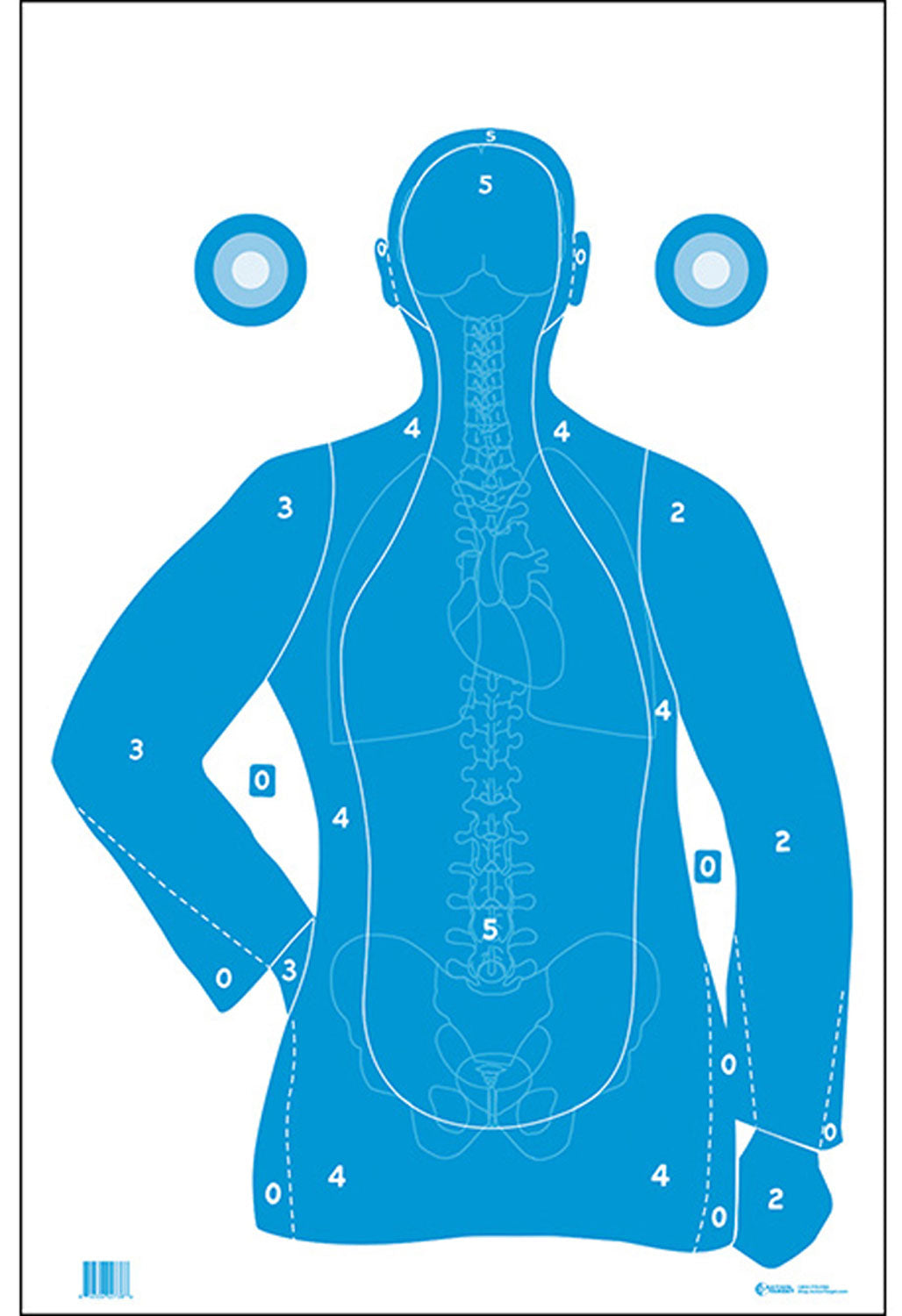 Action Target FB21EANTAV2100 Silhouette Vitals Combo Paper Hanging Target 23x35 Blue/White 100 Pack