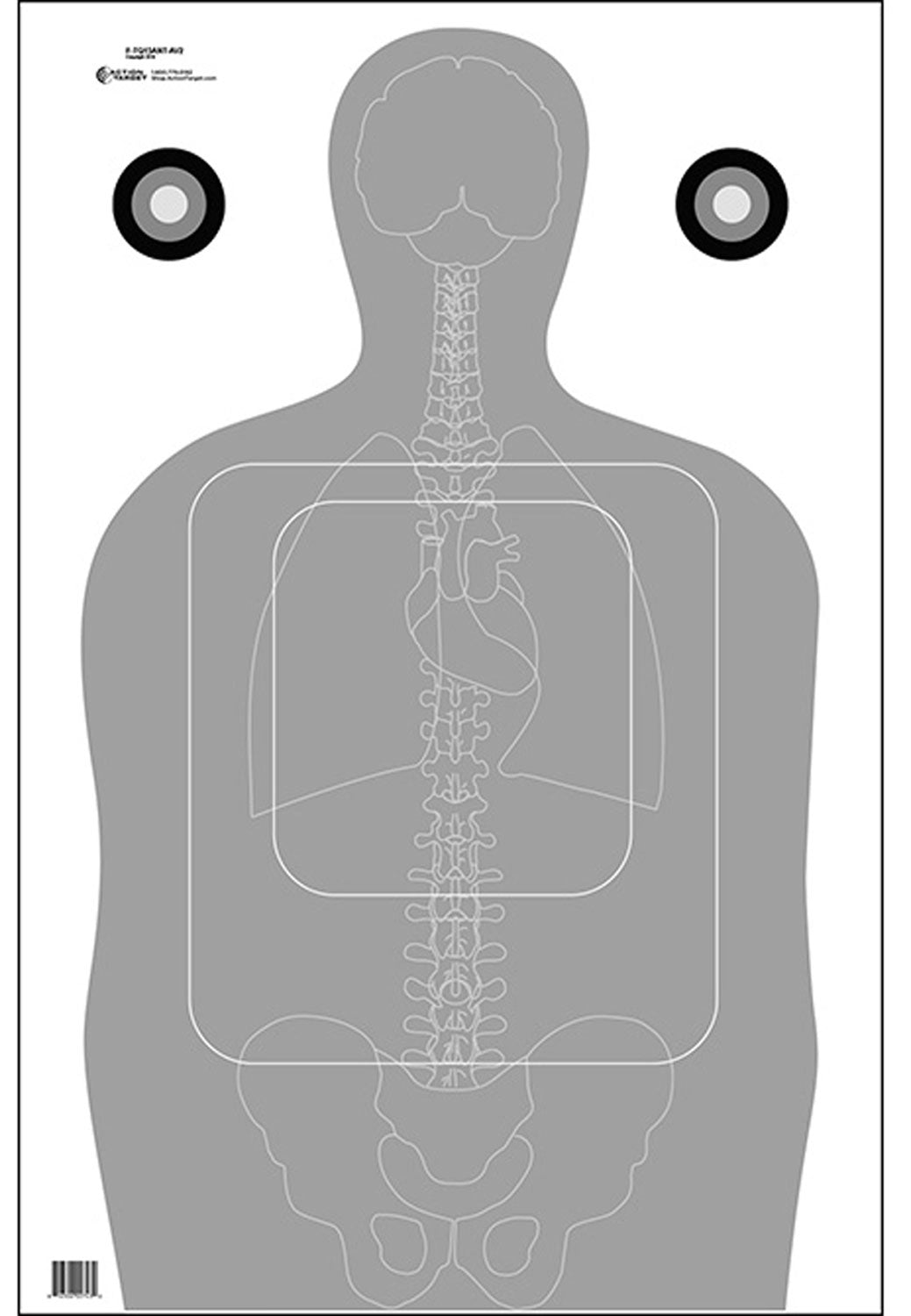 Action Target FTQ15ANTAV2100 TQ-15 Silhouette Vitals Combo Paper Target 23x35 Gray/White 100 Pack