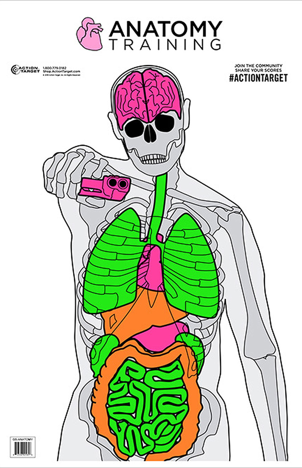 Action Target GSANATOMY100 Anatomy Vitals Silhouette Self-Defense Training Paper Target 23" x 35" 100 Per Box