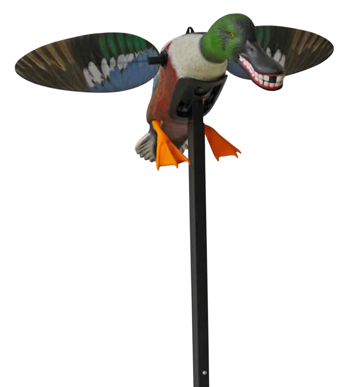 Mojo Outdoors Elite Series Spoonzilla Northern Shoveler Duck Spinning Wing Decoy Multi Color