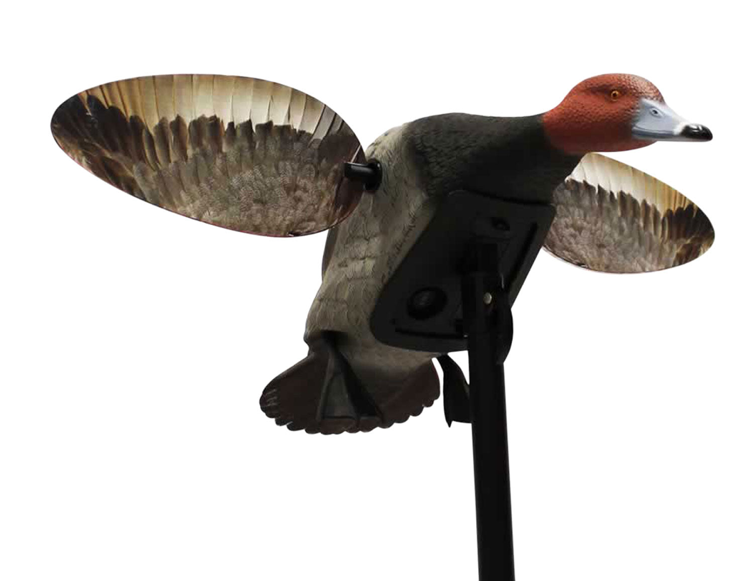 Mojo Outdoors Elite Series Diver Redhead Duck Spinning Wing Decoy Remote Compatible