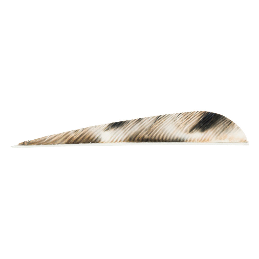 Gateway Tre-Bark Parabolic Die Cut Feathers 4 in. Right Wing 100 Pack