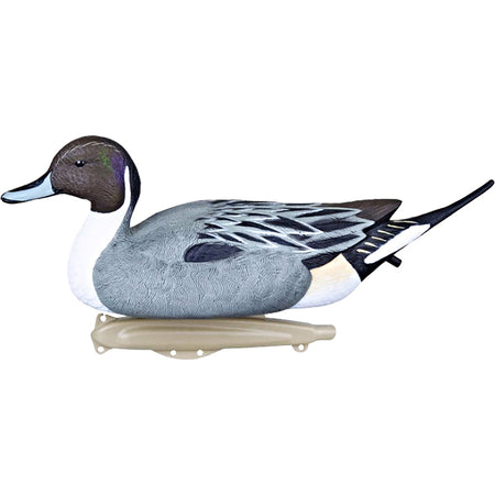 Flambeau Classic Floater Pintail Duck Decoy 6-Pack with UVision Paint