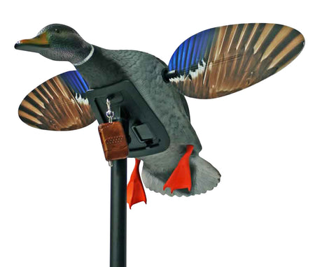 Mojo Outdoors Elite Series Mini Drake Mallard Spinning Wing Decoy with Remote Control