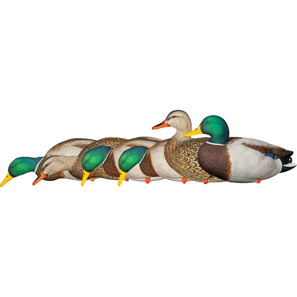 AvianX AXP Fusion Full Body Mallard Duck Decoys 6-Pack