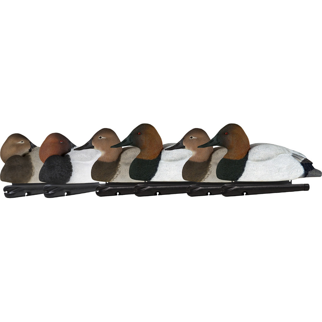 AvianX Top Flight Full Body Canvasback Duck Decoys 6-Pack
