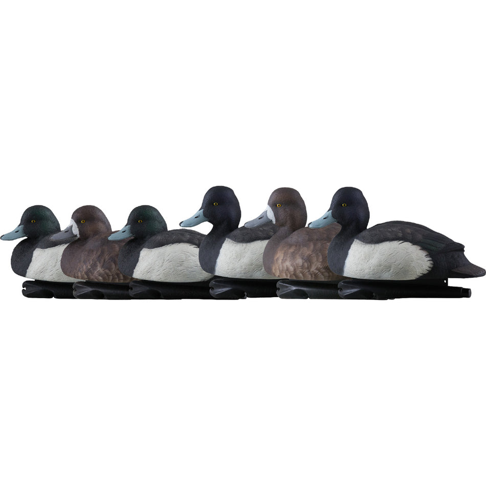 AvianX Top Flight Full Body Blue Bill Duck Decoys 6-Pack
