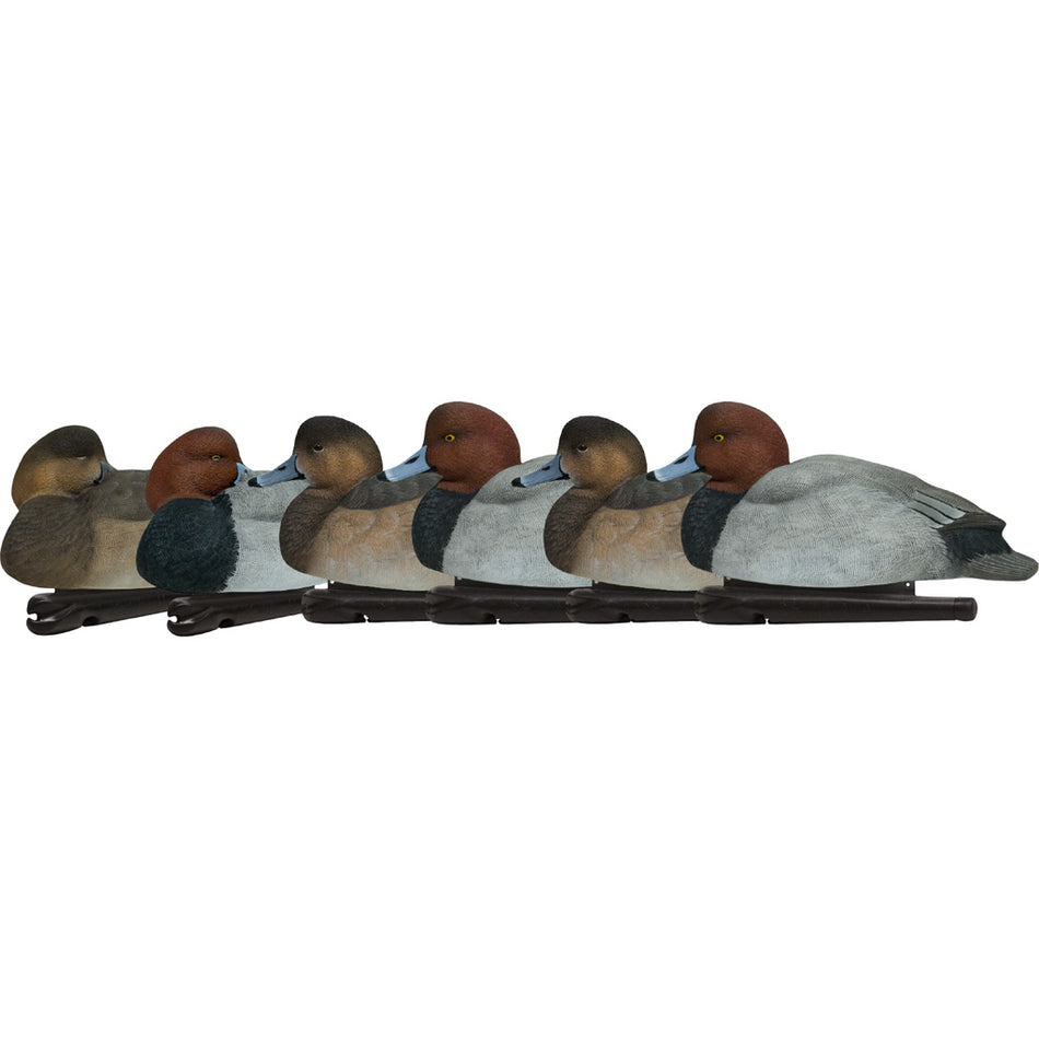 AvianX Top Flight Full Body Redhead Duck Decoys 6-Pack