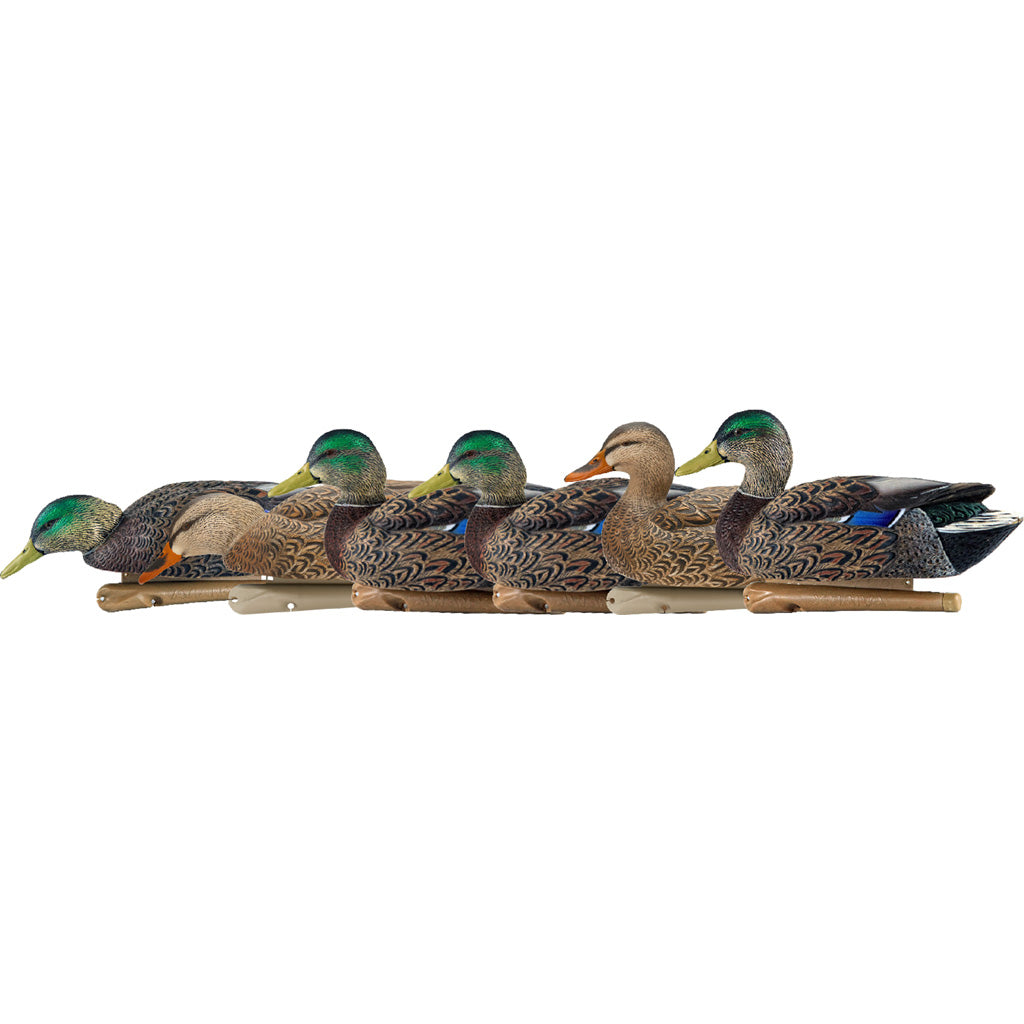 AvianX Top Flight Early Season Mallard Duck Decoys 6-Pack
