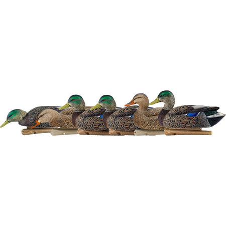 AvianX Top Flight Early Season Mallard Duck Decoys 6-Pack
