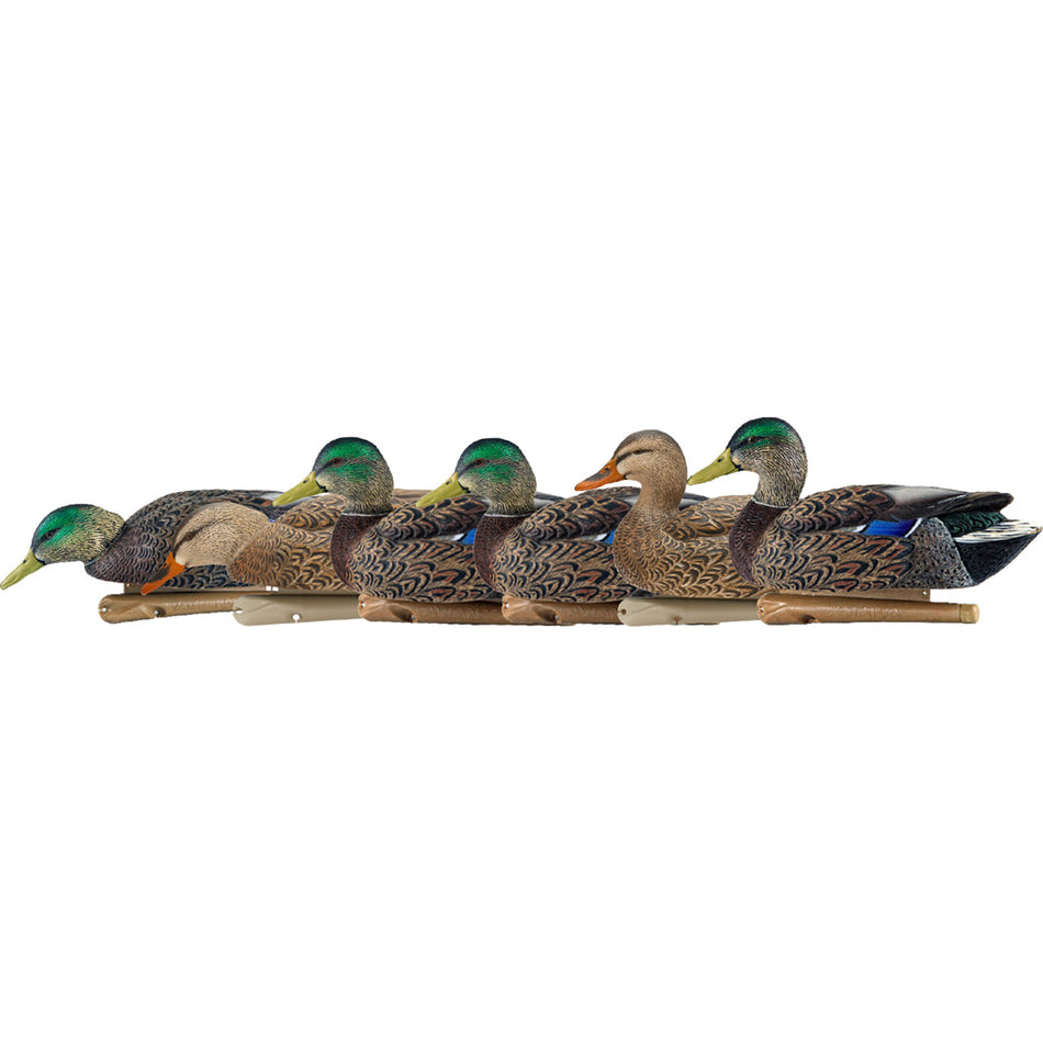 AvianX Top Flight Early Season Mallard Duck Decoys 6-Pack