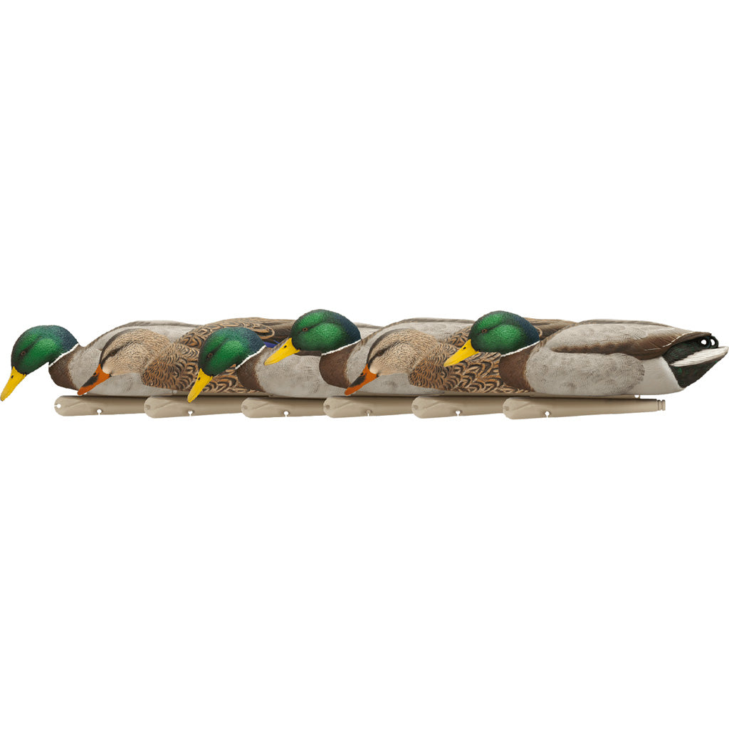 AvianX Top Flight Backwater Mallard Duck Decoys 6-Pack
