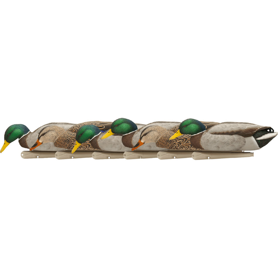AvianX Top Flight Backwater Mallard Duck Decoys 6-Pack