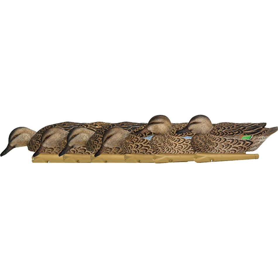 AvianX Top Flight Early Season Teal Duck Decoys 6-Pack
