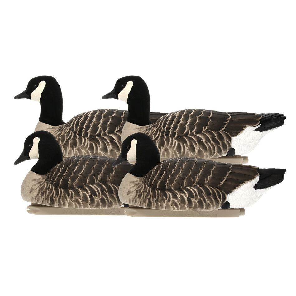 AvianX Top Flight Lesser Canada Goose Floating Decoys 4-Pack
