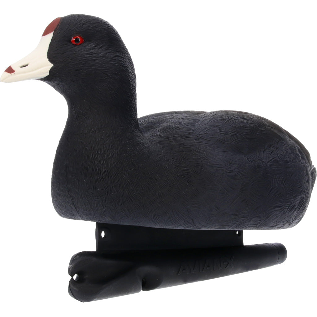 Avian X Topflight Floating Coot Decoy 6 Pack