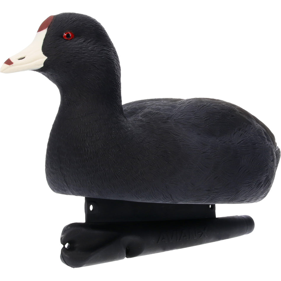 Avian X Topflight Floating Coot Decoy 6 Pack
