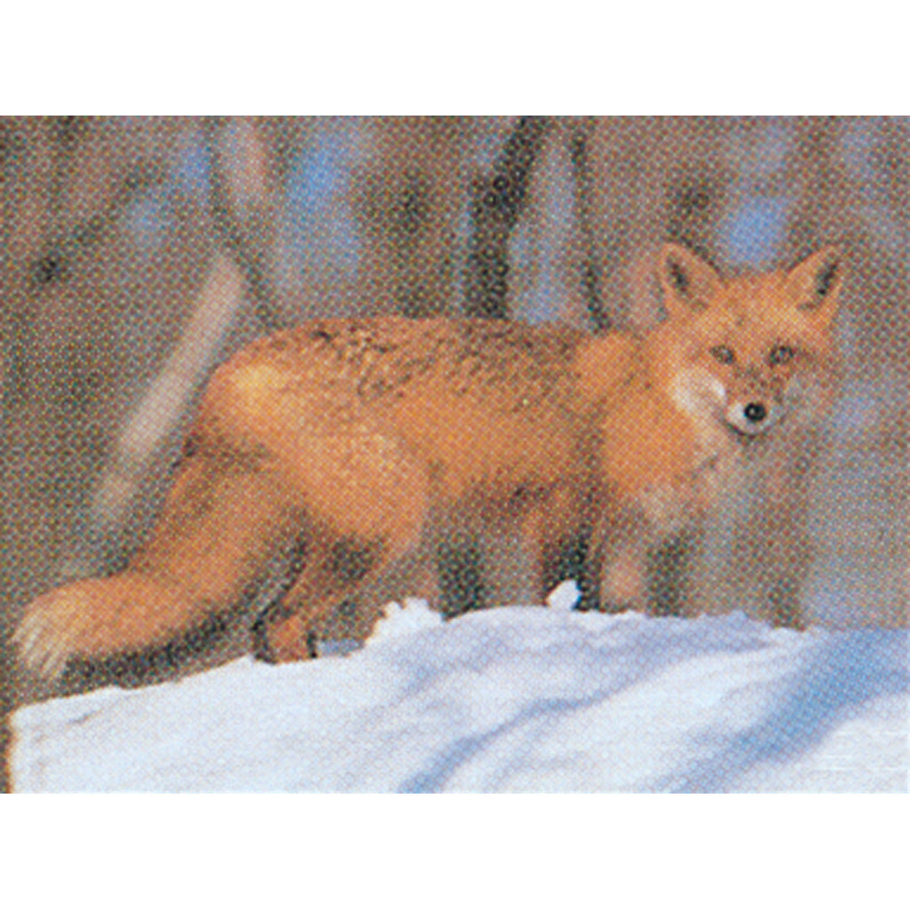 Delta McKenzie Tru-Life Fox Full Color Animal Target 21x28