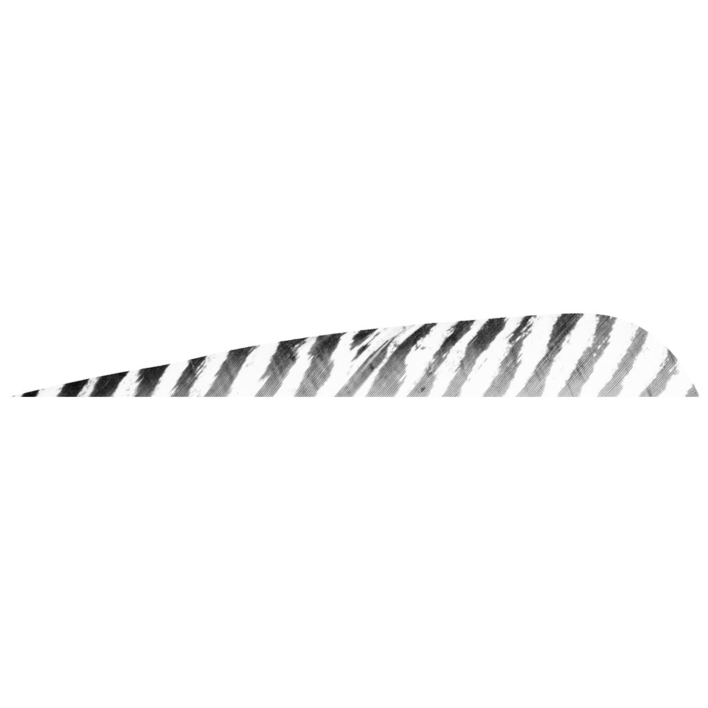 Gateway Barred Feathers White 5 in. Right Wing 50 Pack Parabolic Cut