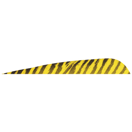 Gateway Barred Feathers Yellow 5 in. Right Wing 50 Pack Parabolic Cut