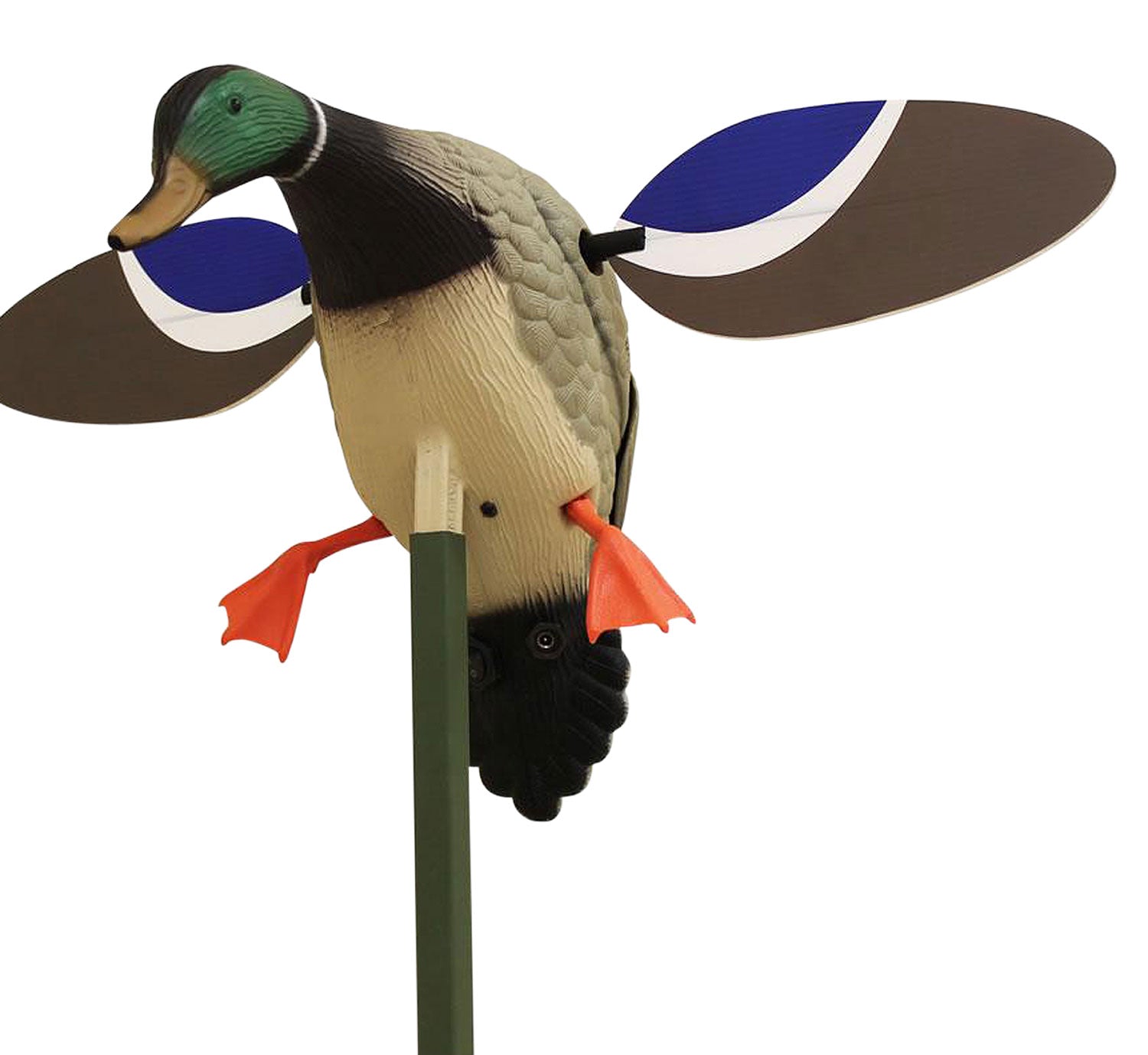 Mojo Outdoors HW4401 Baby Mojo Drake Mallard Motorized Spinning Wing Decoy, Multi Color Synthetic