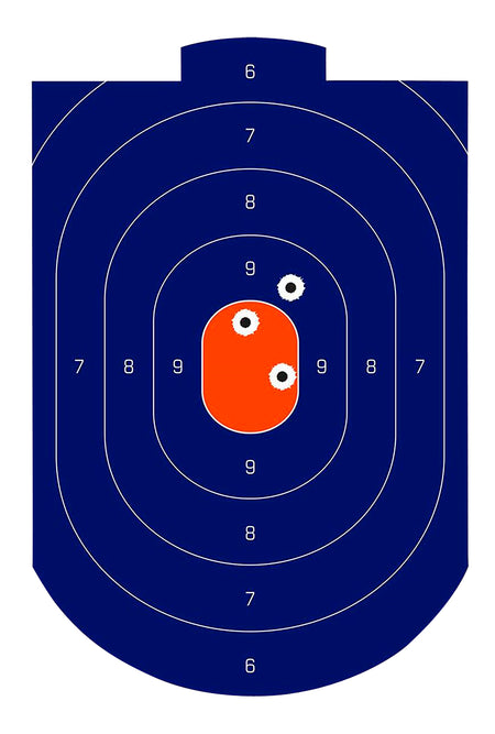 Birchwood Casey 35714 Dirty Bird Silhouette Tagboard Target 12x18 Inch 100 Pack