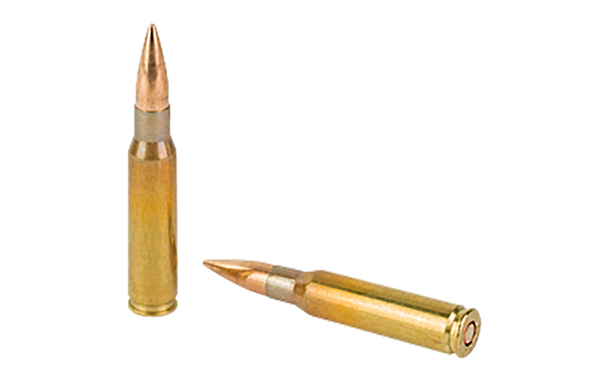Sellier & Bellot  7.62X51 NATO M80 Ball 147 Grain FMJ