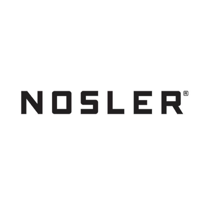 Nosler Safari .458 Winchester Mag 500 gr JHP ammo