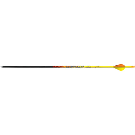 Black Eagle Renegade Carbon Arrows .005 350 Spine Blazer Vanes 6-Pack