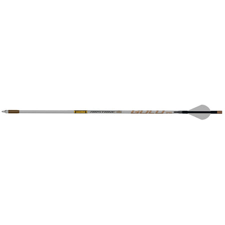 Gold Tip AirStrike Carbon Arrows 250 Raptor Vanes 6 pk.