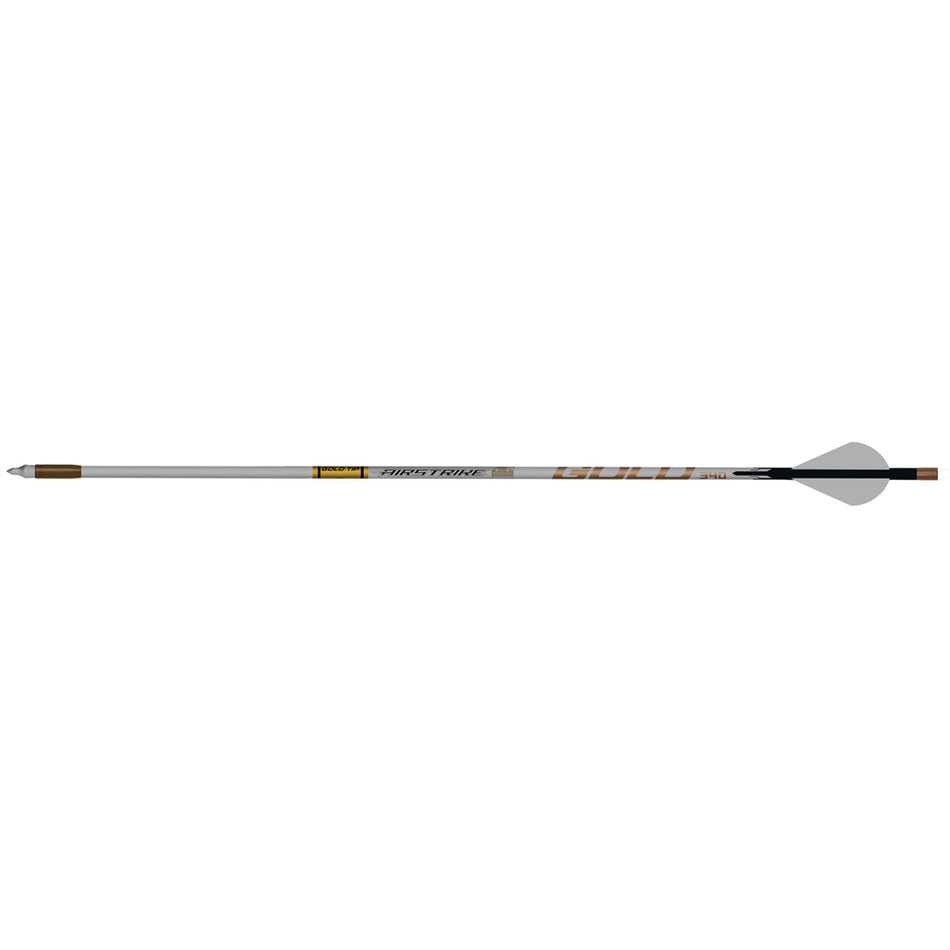 Gold Tip AirStrike Carbon Arrows 250 Raptor Vanes 6 pk.