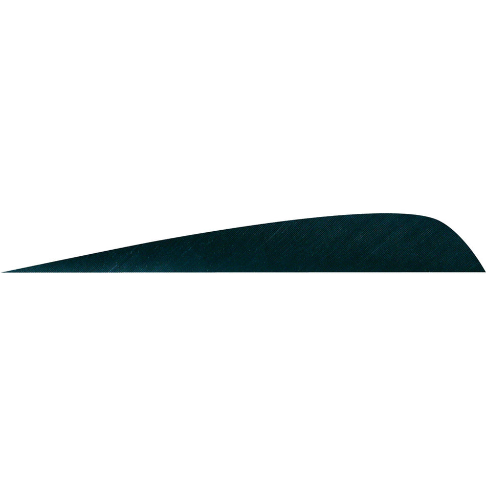 Gateway Parabolic Arrow Feathers Black 4 in. Left Wing 50-Pack