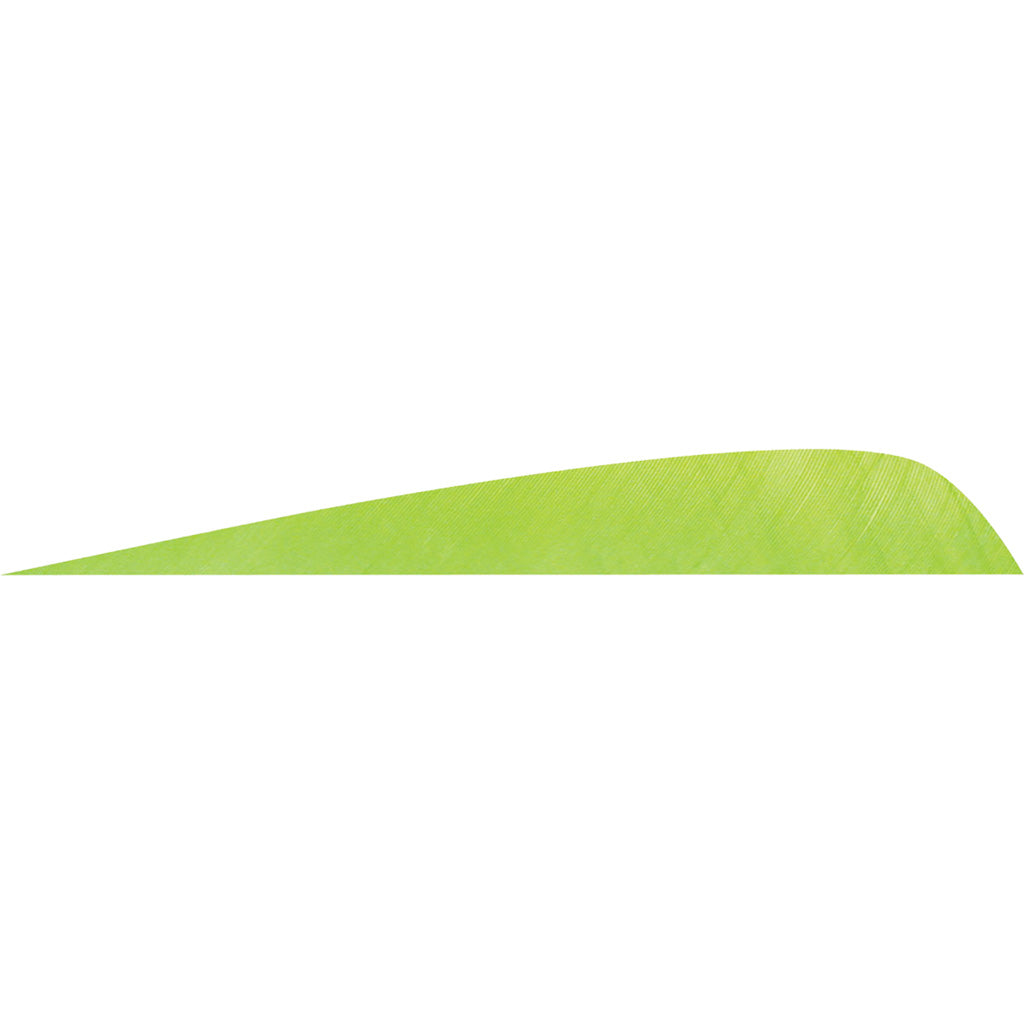 Gateway Parabolic Arrow Feathers Chartreuse 4 in. Left Wing 50-Pack