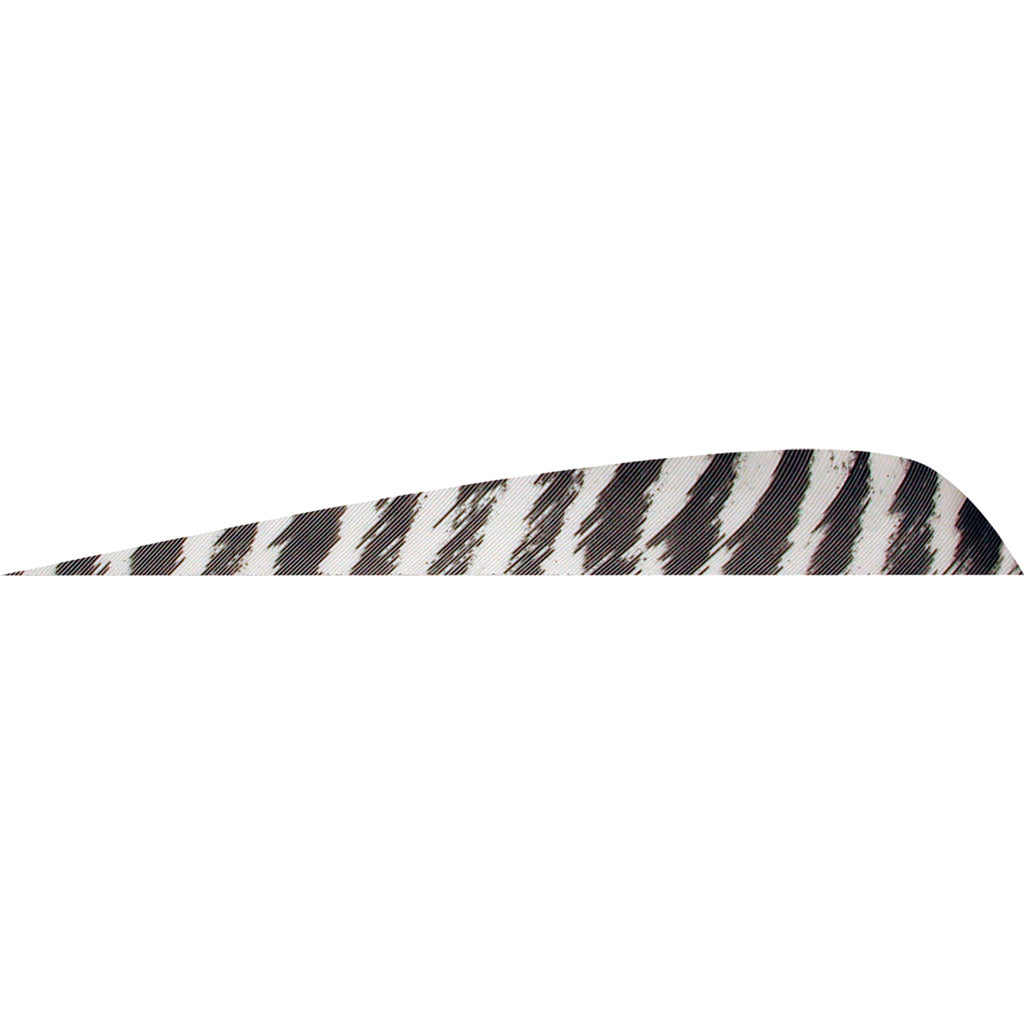 Gateway Parabolic Arrow Feathers Barred White 4 in. Left Wing 50-Pack