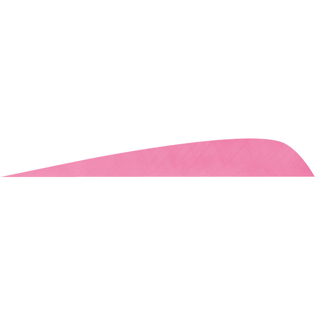 Gateway Parabolic Arrow Feathers Flo Pink 4 in. Left Wing 50-Pack